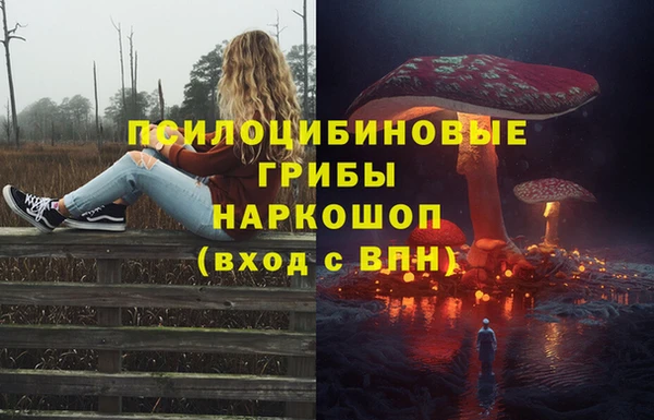 PSILOCYBIN Верхнеуральск