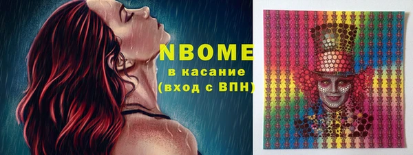 тгк Снежногорск