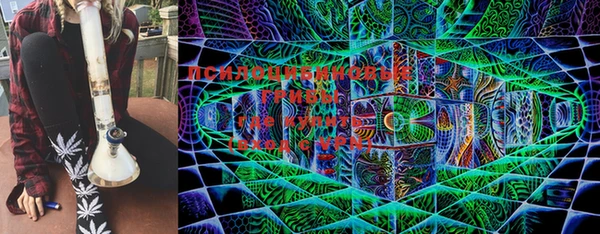 тгк Снежногорск