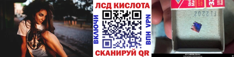 Марки NBOMe 1,8мг Выборг