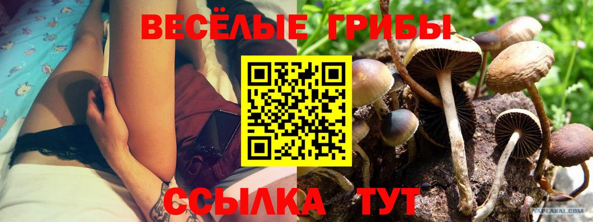 Выборг  Галлюциногенные грибы ЛСД  Галлюциногенные грибы мицелий  Вход с VPN 