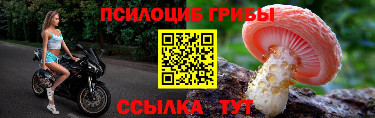 Галлюциногенные грибы мицелий Выборг